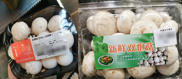 山海情的追剧心得,山海情电视剧感言