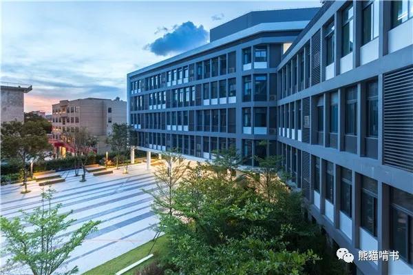 深圳南山小学排名一览表最新,扒一扒深圳知名小学南山篇