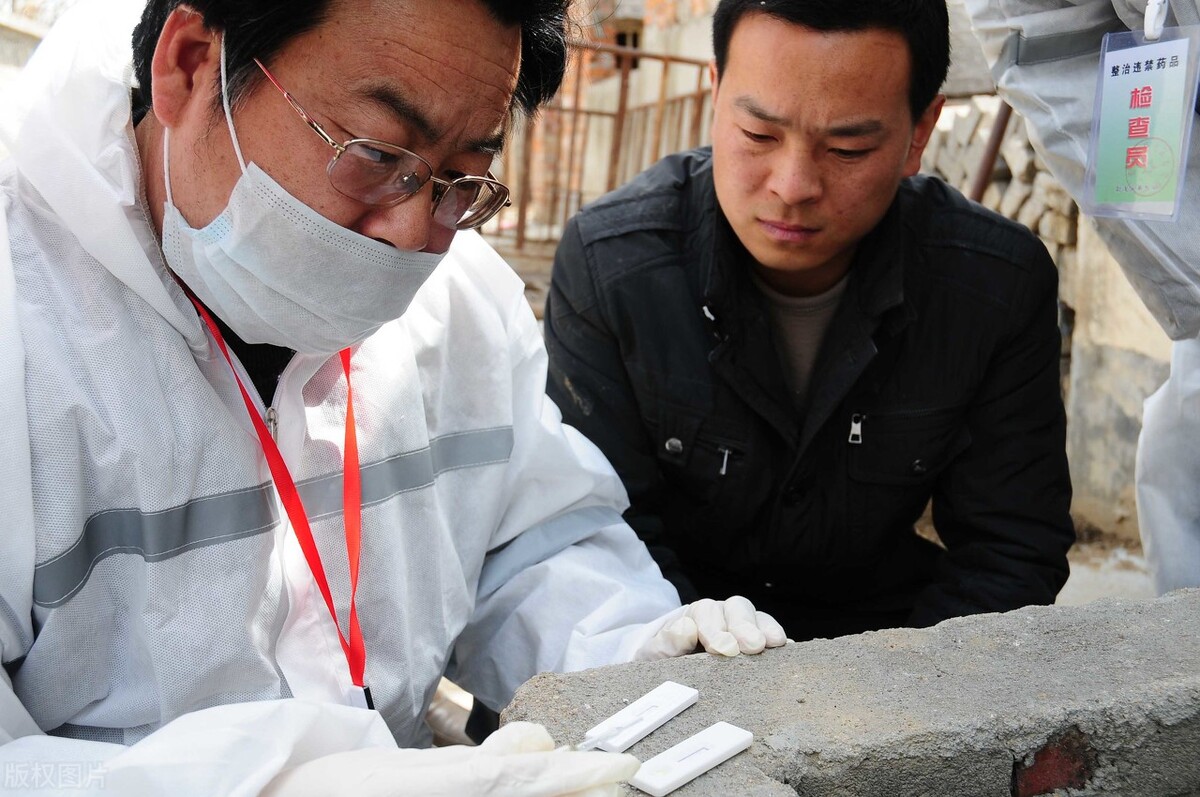 公务员事业单位改革最新消息,公务员事业单位改革最新方案