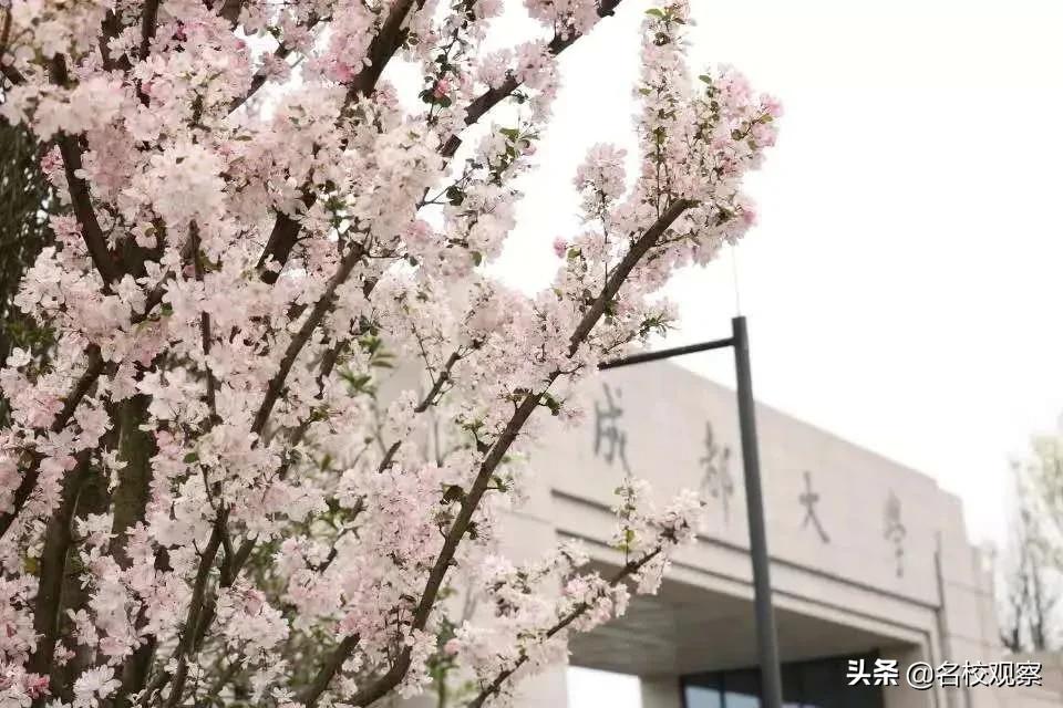 住在成都这个地方,给你大学四年的“神仙体验”