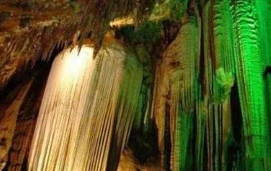 新加坡飞重庆航班最新消息,新加坡飞重庆的航班现在有吗