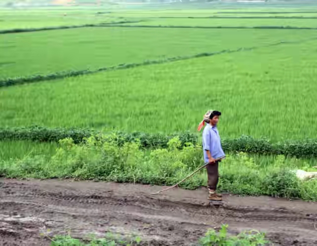 63张照片看朝鲜,朝鲜免费住宅图片