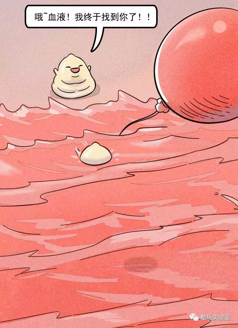 吃太多的糖会让你变胖,让你变丑变老的不是脂肪而是糖