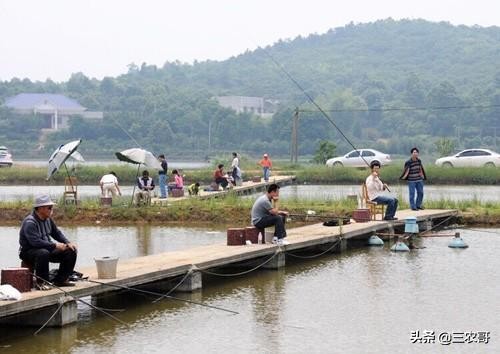 8个适宜在农村创业致富的项目,4个适合农村挣钱好项目推荐