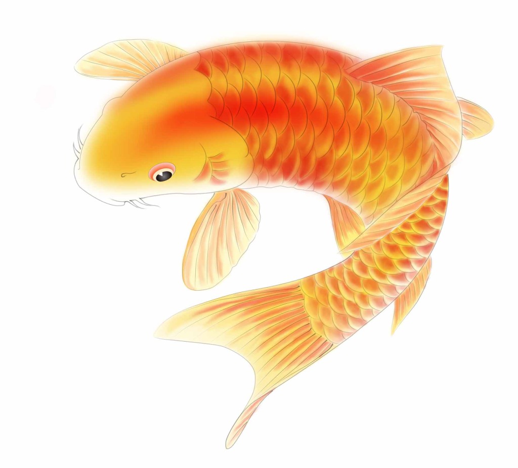 小凤仙全水域综合浮漂,小凤仙钓鱼浮漂