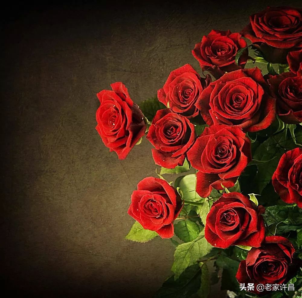 鄢陵茶叶推荐,鄢陵天下第一粉