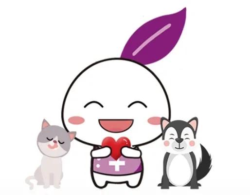 猫咪耳廓有个鼓包是怎么回事,猫咪耳根部长了个大包