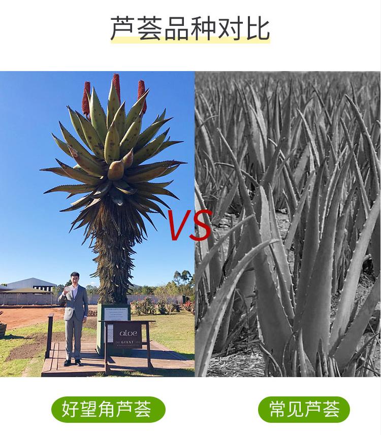 你还在被本土和韩国芦荟胶“骗”多少年？