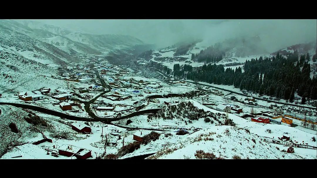 血狼犬电影有意思吗,血狼犬超清