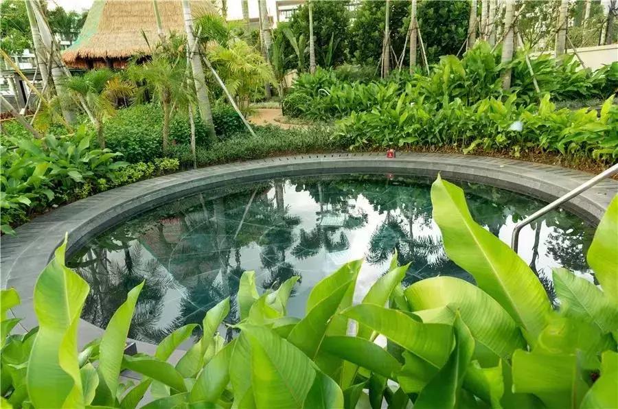 温泉季已到,这个元旦就来一场惬意的海南泡汤+逛吃之旅吧!