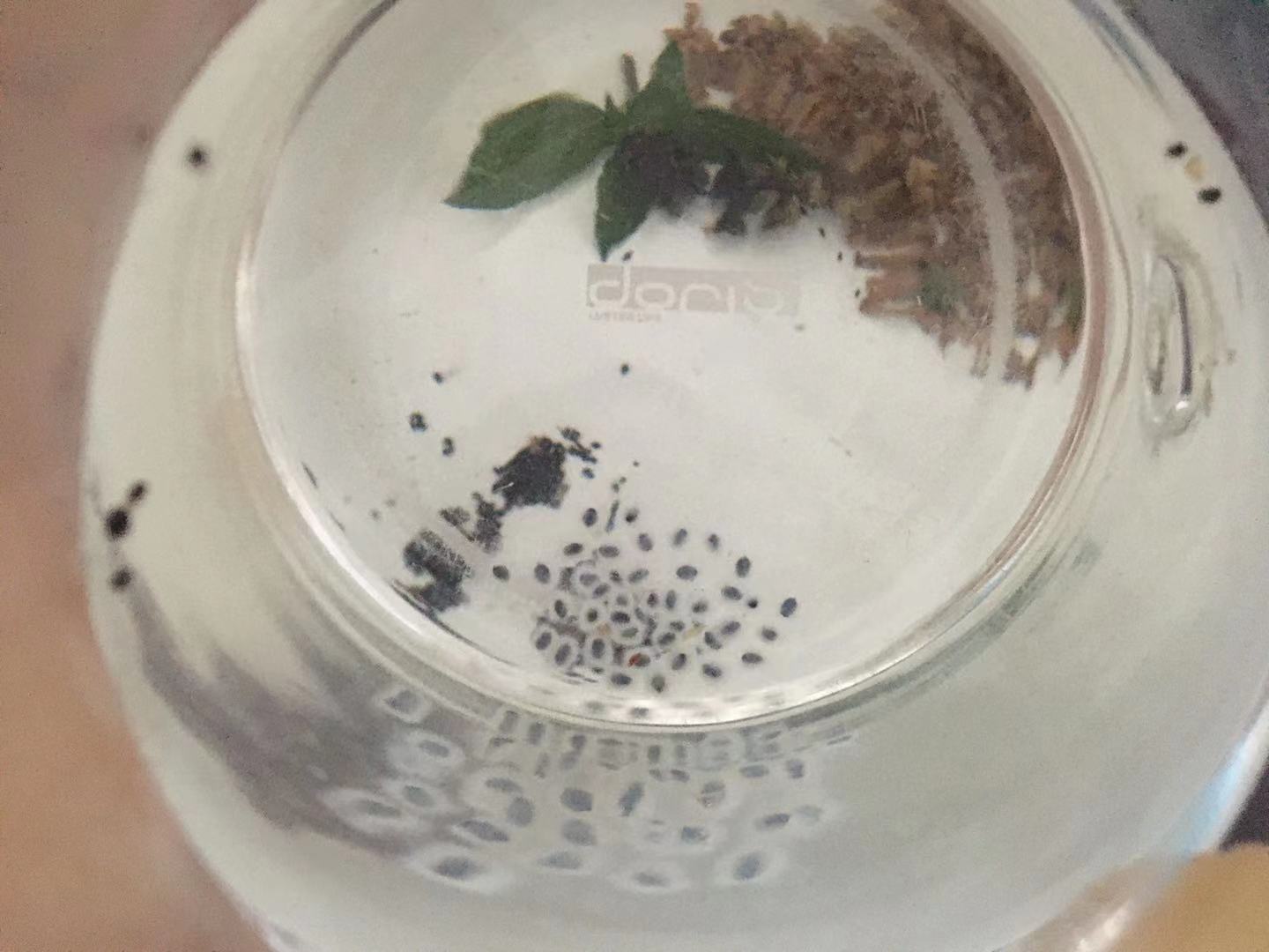 阳台也能种出这么漂亮的辣椒,阳台可以种的稀奇的蔬菜