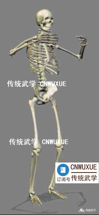 以武入道站桩,站桩如何入道