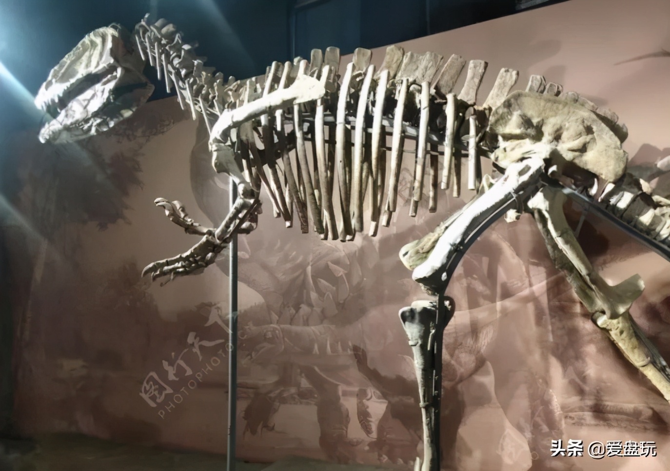 恐龙蛋化石手串,带恐龙化石手串