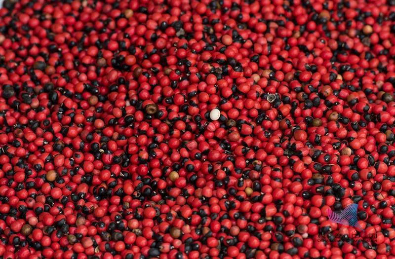 看起来很好看但是有剧毒的植物,好看但是有剧毒的植物