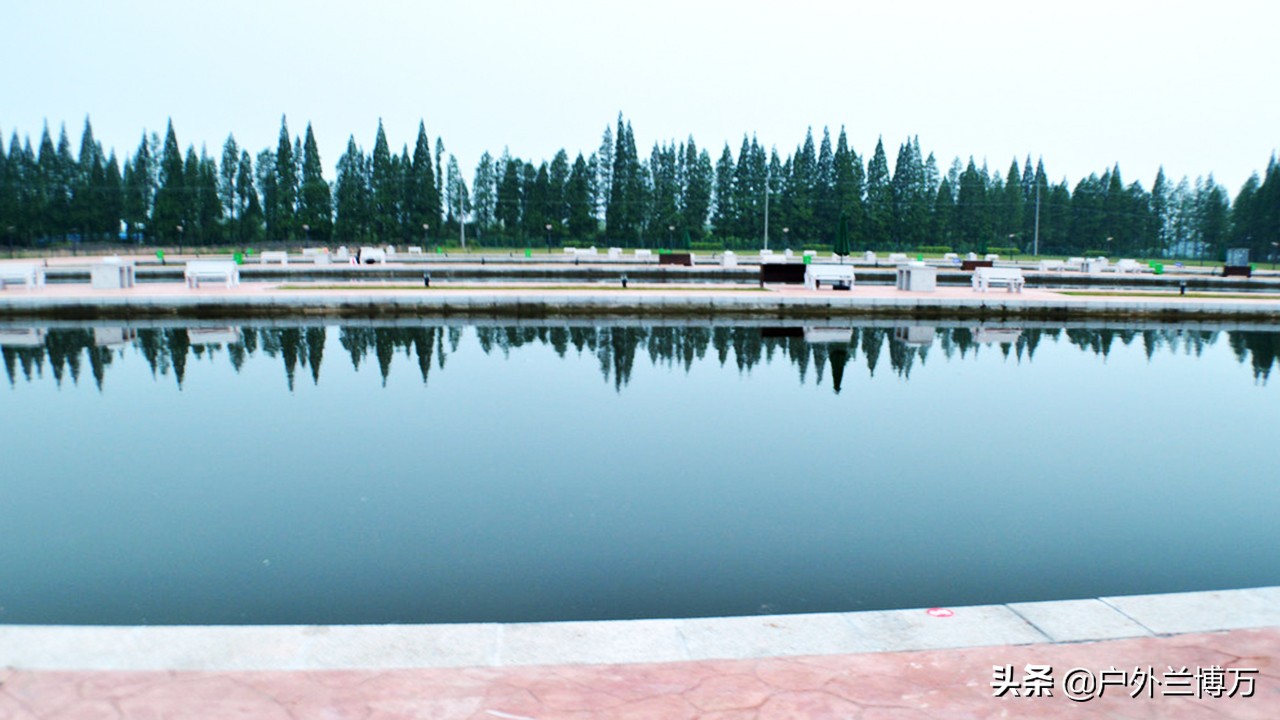 黑坑钓鲫鱼方法与技巧,黑坑钓鲫鱼的正确方法与技巧