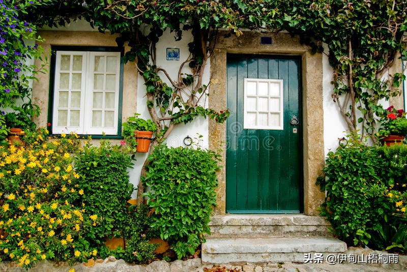 极简生活每月花费500元,极简生活是怎样攒钱的