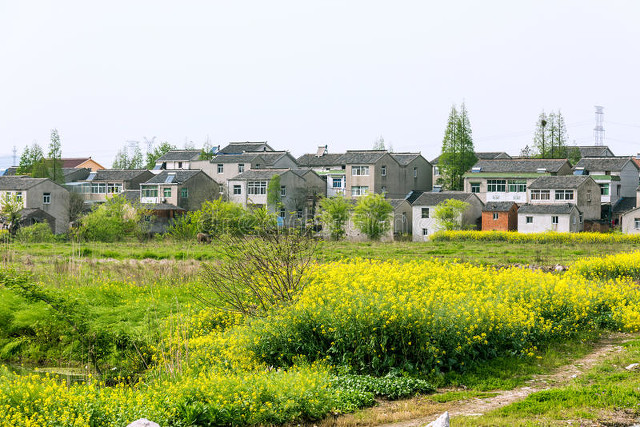 杂文系列六十二：乡村求医记