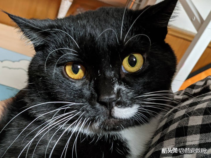 谷歌pixel4,pixel4xl最大亮度