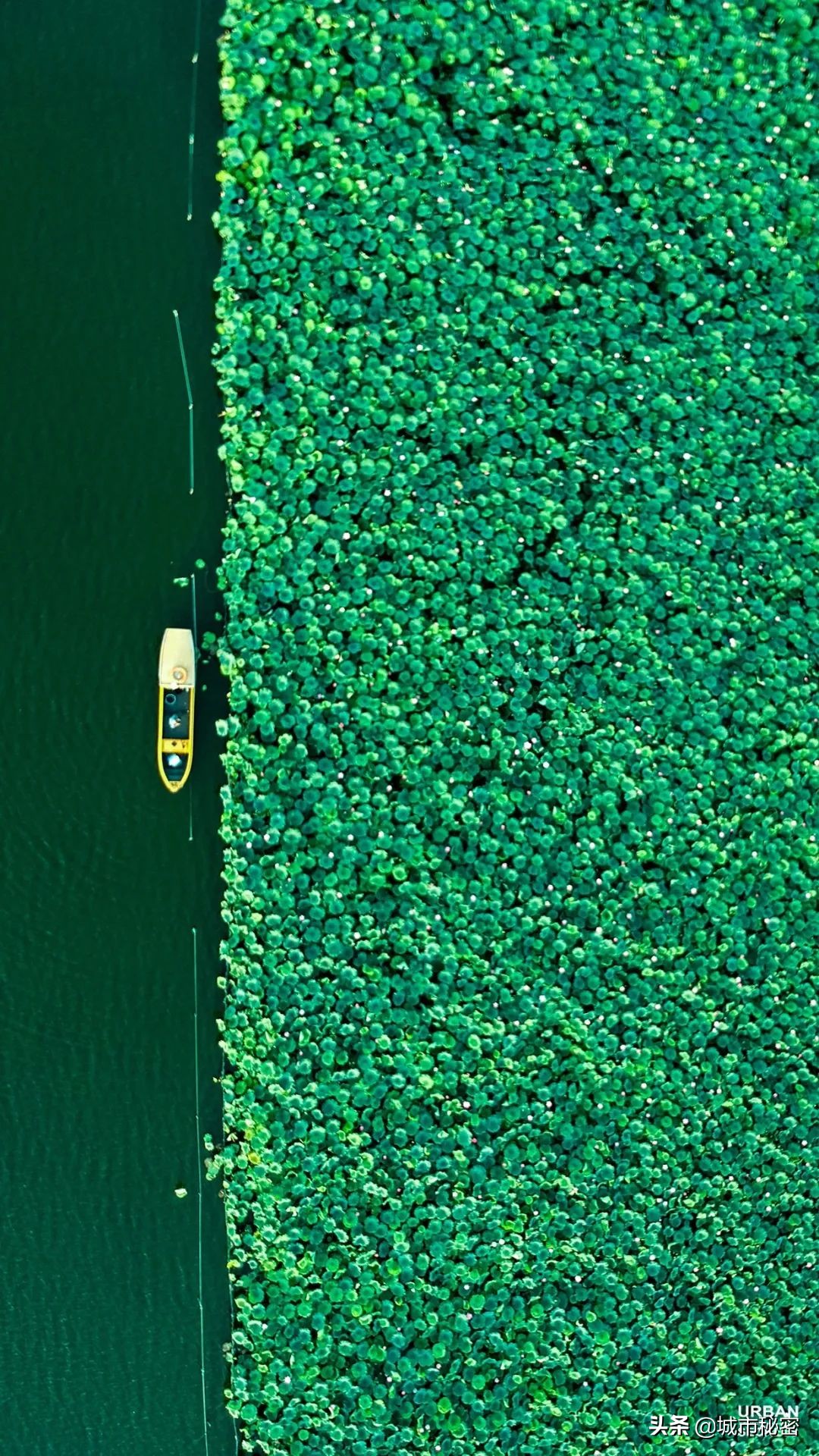 江南100，杭州99