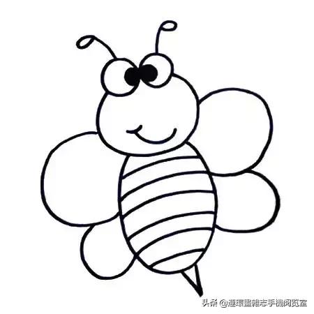 可爱的小昆虫简笔画,我认识的昆虫简笔画