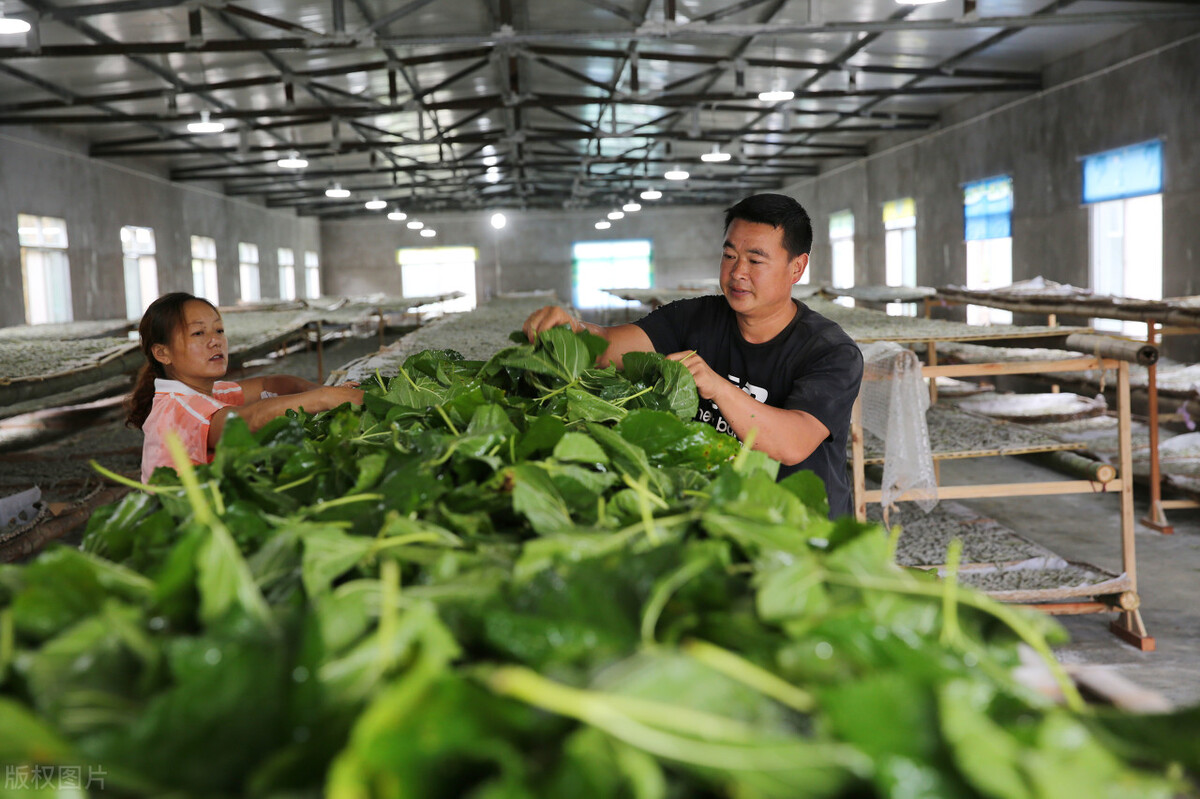三百一十九读作怎么写,三百一十九英文