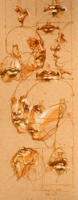 透视表现空间的基本方法,透视解剖学原理书籍