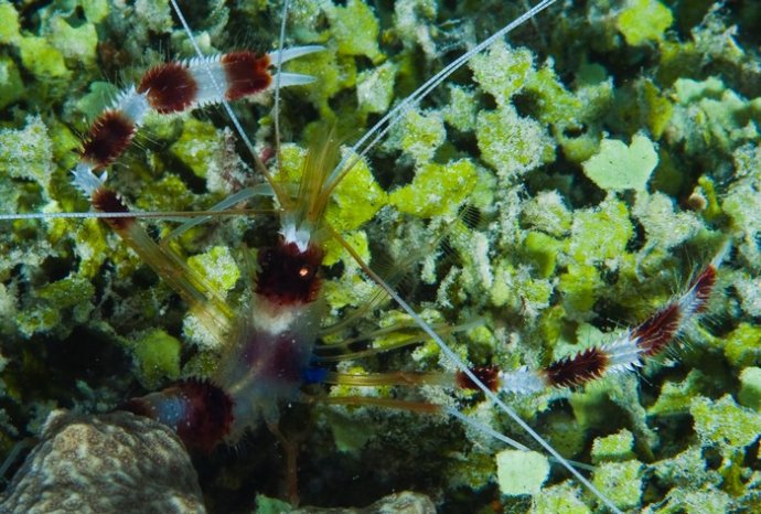 海底你不知道的东西,海底世界东海龙宫