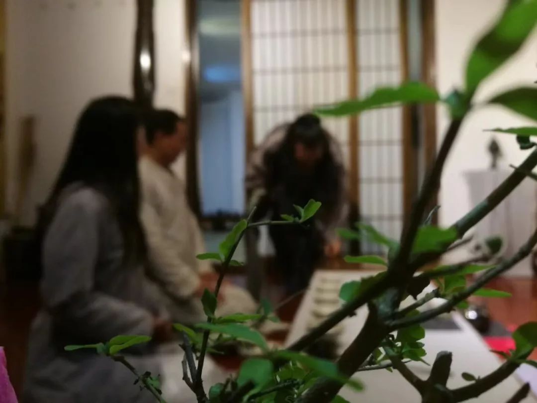 长安雅士古琴视频,长安雅士抚琴演奏