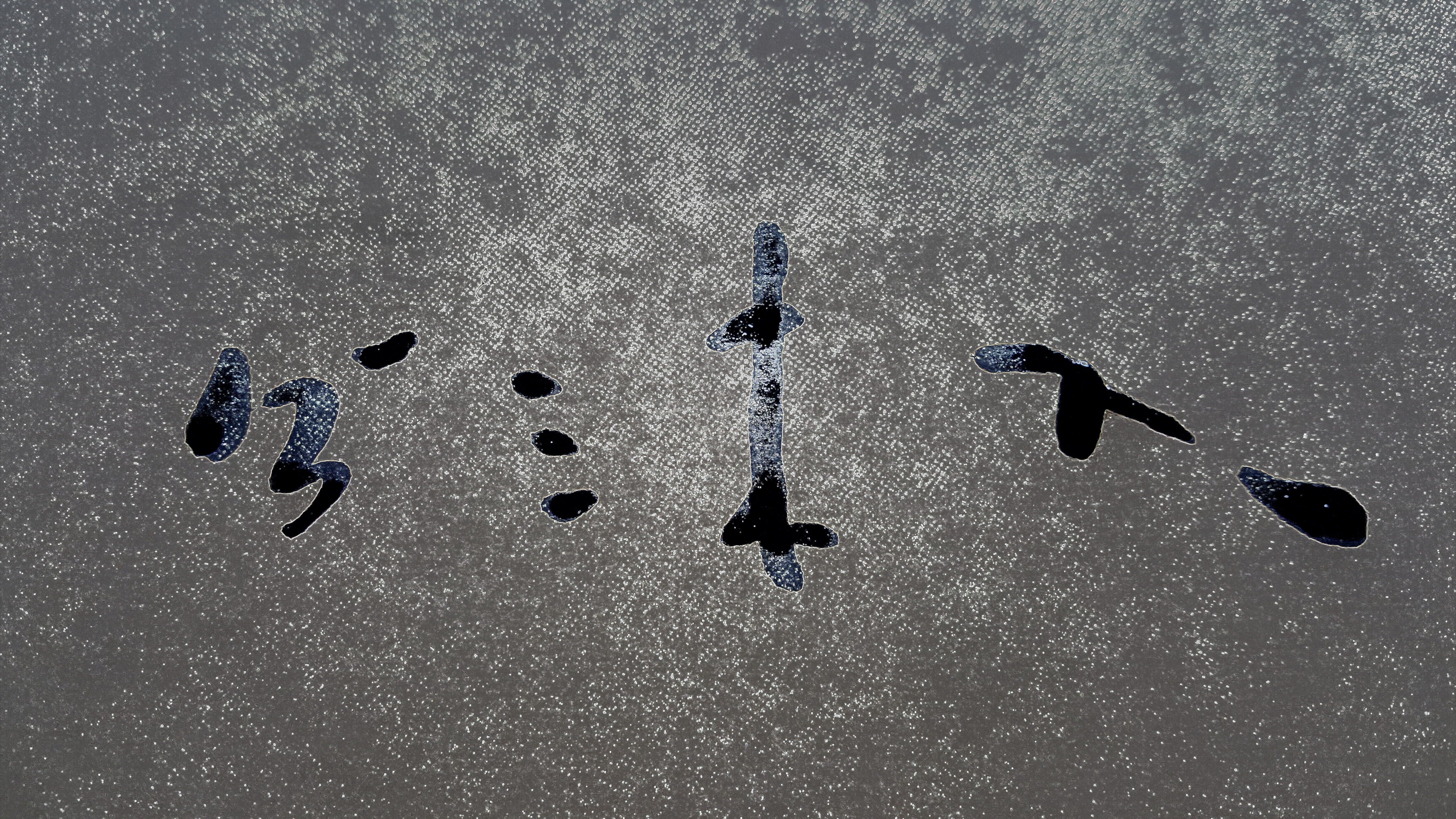 入木三分形容的是书法还是绘画,入木三分只能形容书法吗