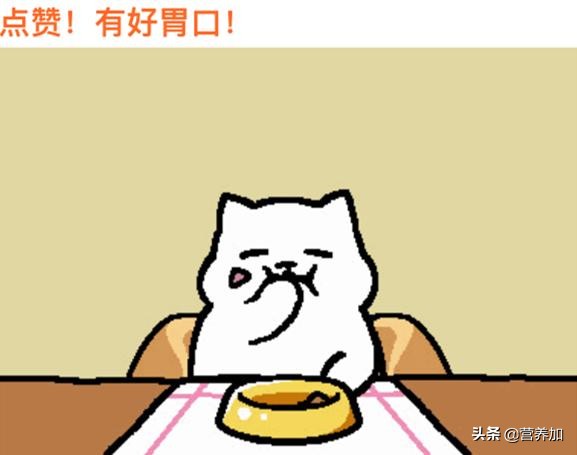 奇亚籽麦片网红,奇亚籽水网红