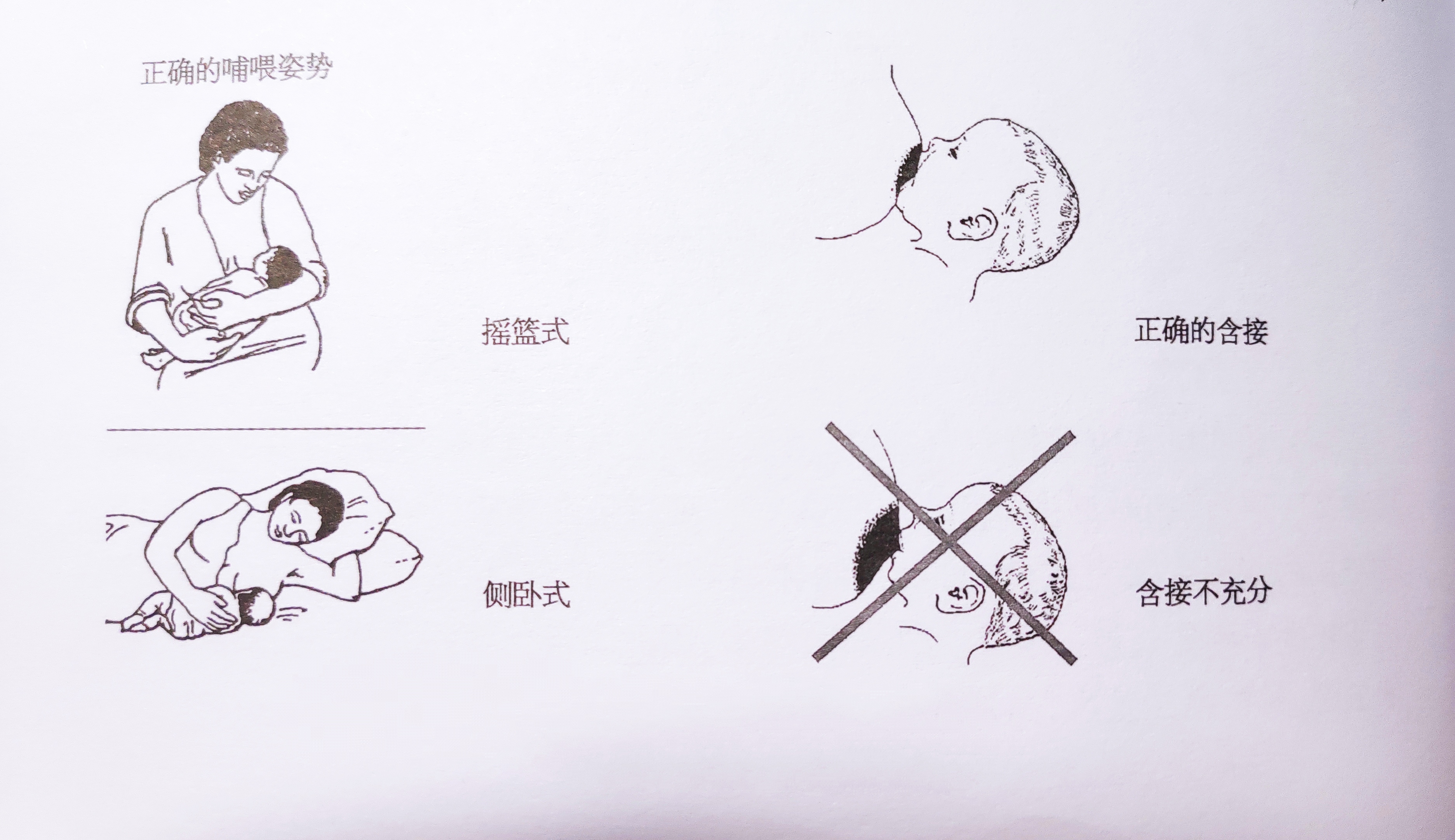 准爸爸准妈妈须知,准爸爸孕育科普