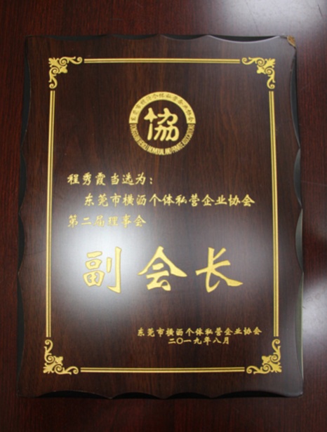 秀外慧中霞之大者东莞市鑫彪实业投资有限公司总经理程秀霞