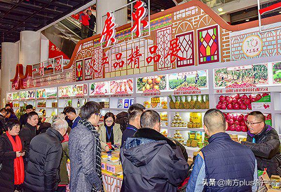 90后海归：携青年农民“抢滩”大上海，扬帆一带一路