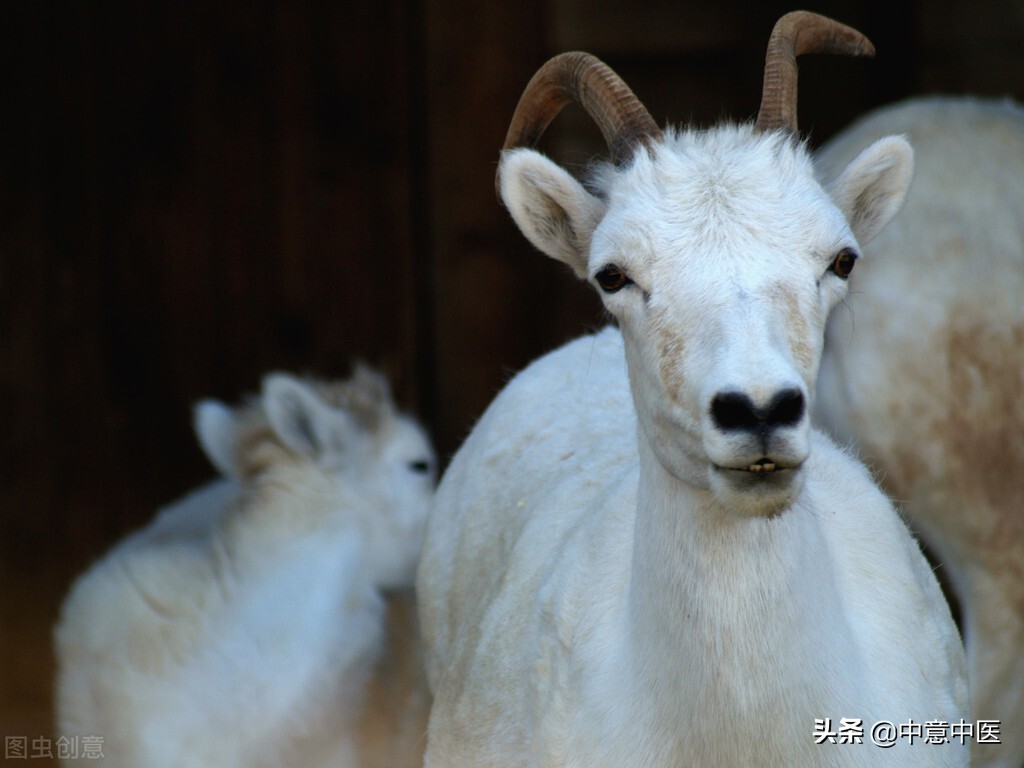阳痿*泄早**的中医养生食疗
