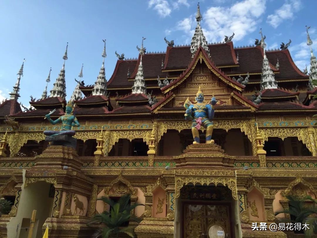 佛教为什么有五树六花,佛教中的五树六花图片