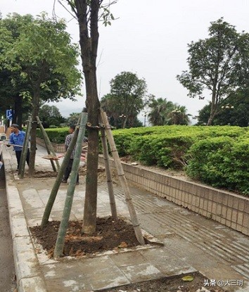 三明城市双修总体规划,三明市2020年重点项目名单