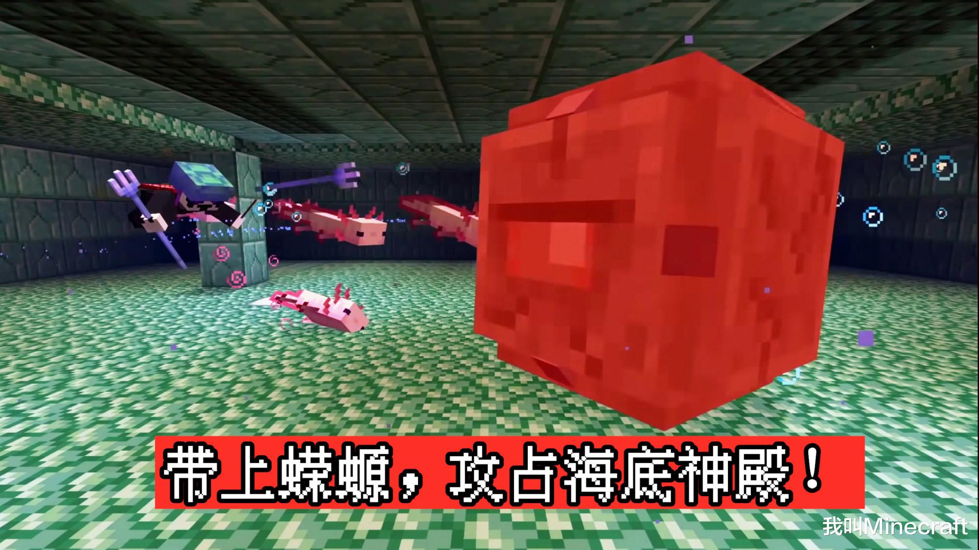 我的世界1.17蝾螈在哪里生成,我的世界1.17蝾螈生活在什么地方