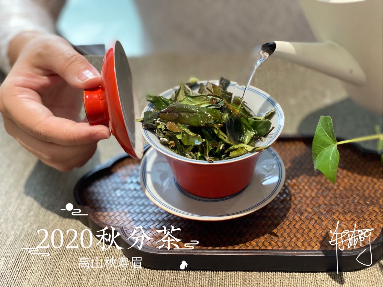 白毫银针白牡丹贡眉寿眉冲泡方法,白毫银针贡眉老白茶如何选