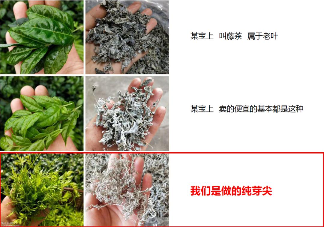 茅岩莓茶什么时间喝最好,真正的茅岩莓茶