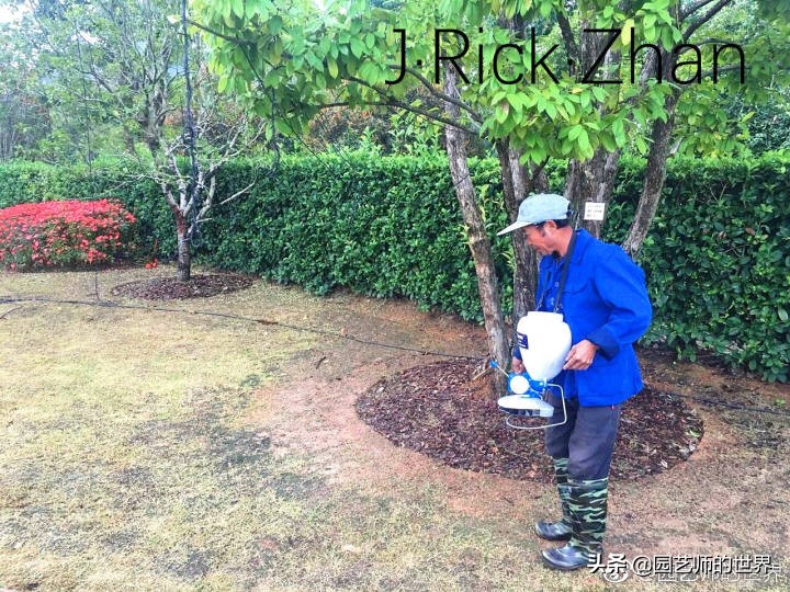 怎么种植草坪不长杂草,如何养好草坪