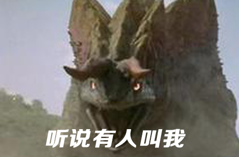 pdd与乔碧萝视频,pdd大战乔碧萝