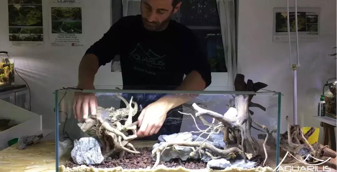 草缸造景教程：这个缸居然能装下一头“犀牛”？