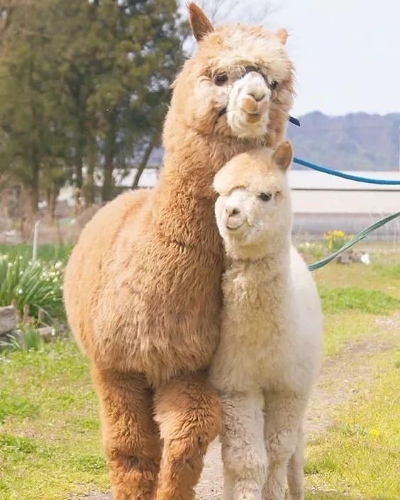 发现被别人偷拍照片,偷拍别人的照片是否违法