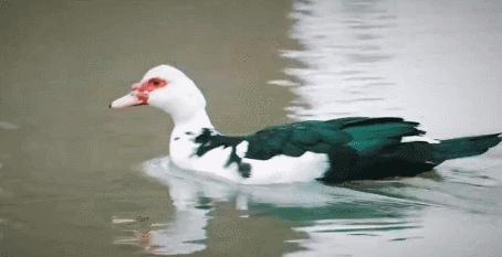 在天津排多少名能上天津科技大学,考上了天津科技大学怎么样