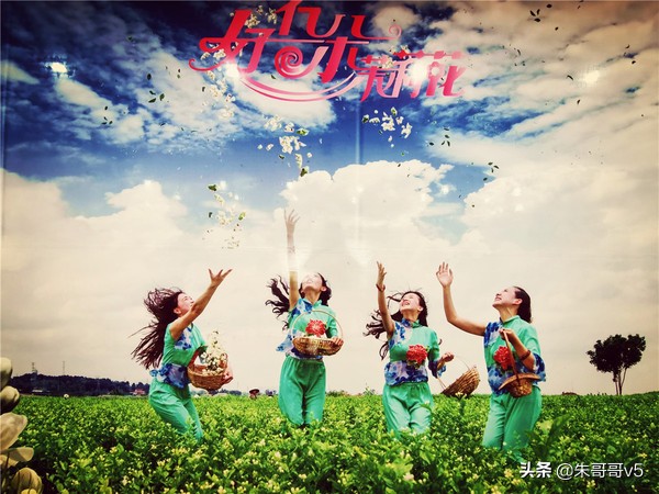 2022媒体花乡行,2023媒体花乡行