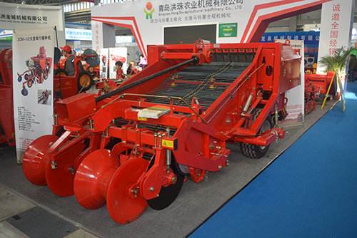 日照,日照绿茶价格表