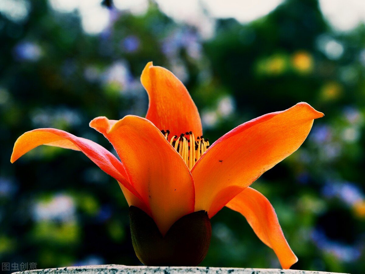 马云创业的十次失败,马云创业带给我们的经验和启示