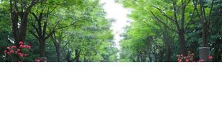 西北大学现代学院简介图片,西北大学现代学院地址