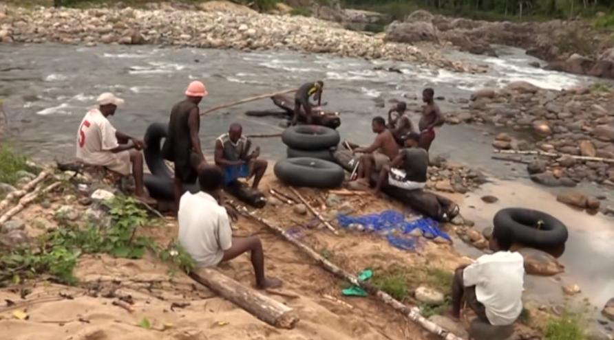 实拍非洲紫檀木*私走**全过程：护林员做*私走**，一根紫檀木赚三万