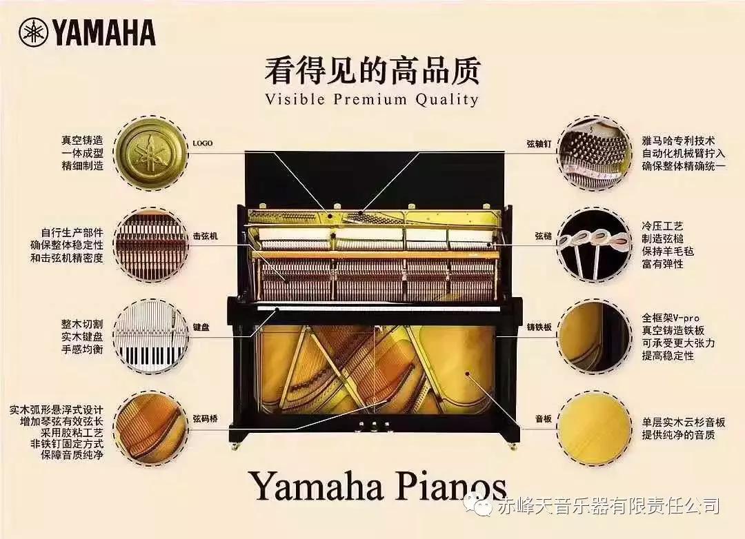 天音乐器靠谱吗,天音二手乐器河东区